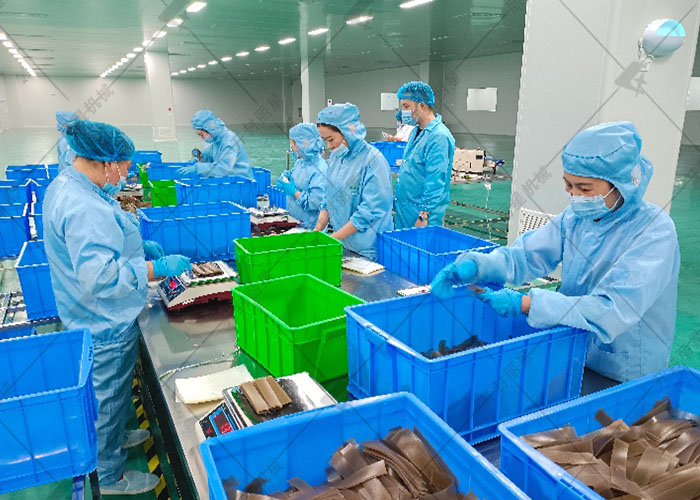 河南麗星苕皮鮮粉加工設備工藝性能介紹