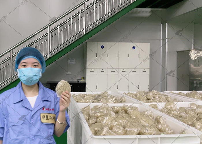 從原料到口感，讀懂方便粉絲與方便面的差異